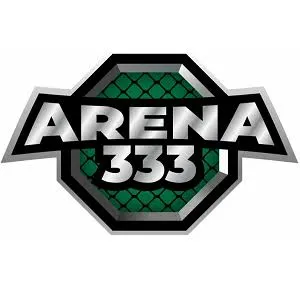 arena333 APK ARPG